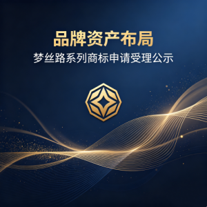 品牌资产布局｜梦丝路系列商标申请受理公示